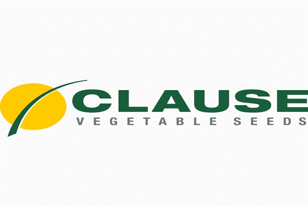 Clause